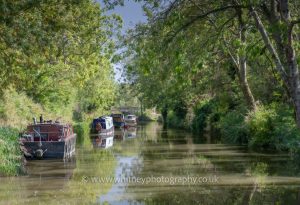 The Kennet and Avon Canal near Bradford on Avon